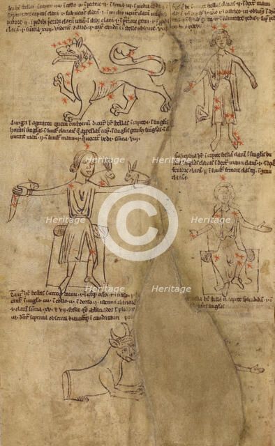 Constellation Diagrams, early 13th century. Creator: Unknown.