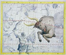 Constellation of Taurus, 1729. Creator: Unknown