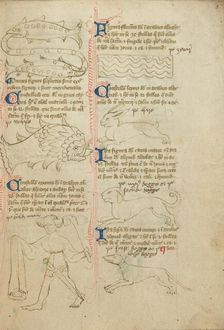 Constellations; Astronomical and Medical Miscellany, late 14th century, shortly after 1386. Creator: Unknown