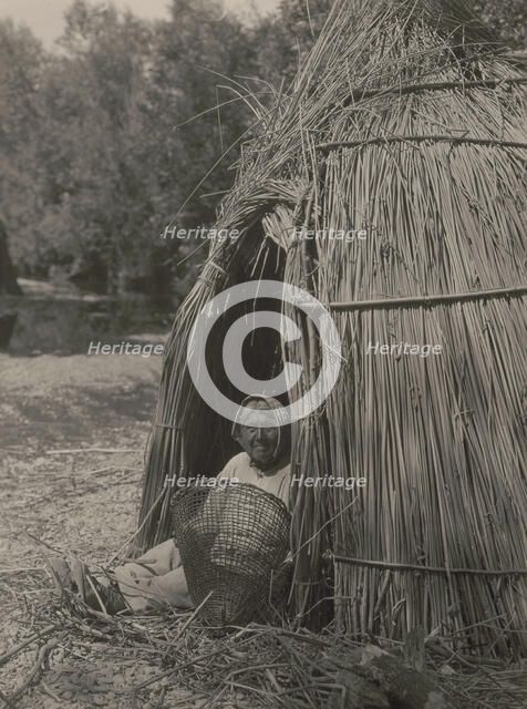 Construction of a tule shelter-lake Pomo, 1924. Creator: Edward Sheriff Curtis.
