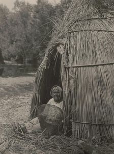 Construction of a tule shelter-lake Pomo, 1924. Creator: Edward Sheriff Curtis