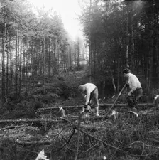 Construction of the M6 Motorway, Stafford, Staffordshire, 20/06/1961. Creator: John Laing plc