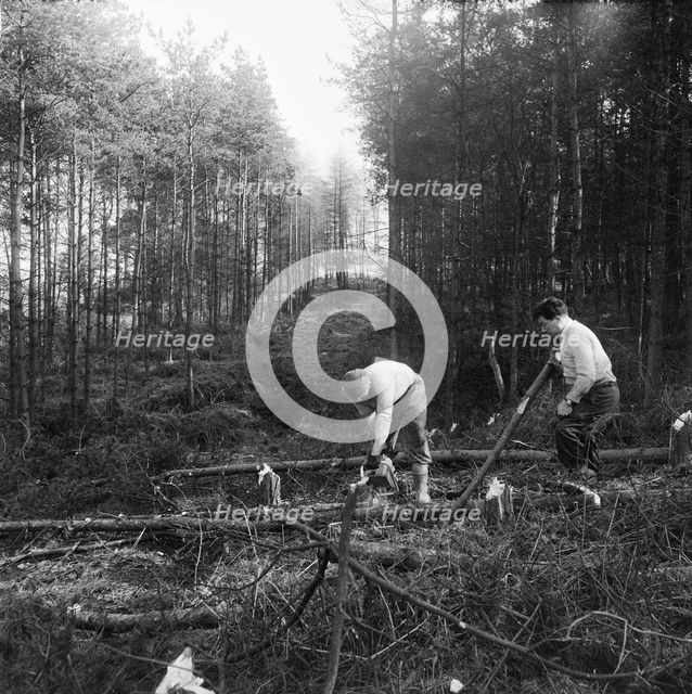 Construction of the M6 Motorway, Stafford, Staffordshire, 20/06/1961. Creator: John Laing plc.