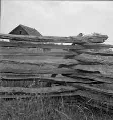 Construction detail of rail fence, Person County, North Carolina, 1939. Creator: Dorothea Lange