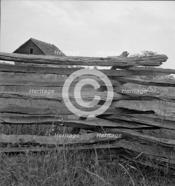 Construction detail of rail fence, Person County, North Carolina, 1939. Creator: Dorothea Lange.