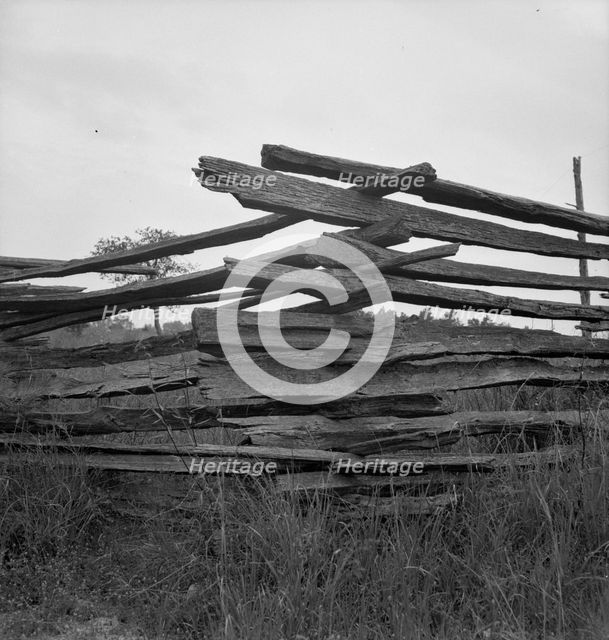 Construction detail of rail fence, Person County, North Carolina, 1939. Creator: Dorothea Lange.