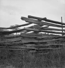 Construction detail of rail fence, Person County, North Carolina, 1939. Creator: Dorothea Lange