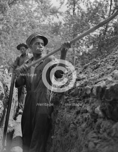 Construction workman, Washington, D.C, 1942. Creator: Gordon Parks.