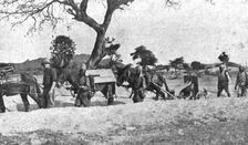 Conquest of German East Africa; Campaign of 1917: a Saint-Chamond battery unit..., 1917. Creator: Unknown