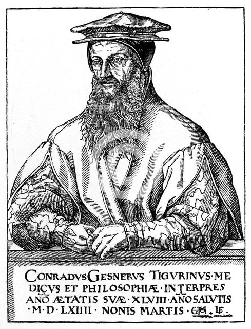 Conrad Gessner, Swiss naturalist, 1887. Artist: Unknown