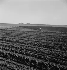Contour plowing on mechanized farms, Childress County, Texas Panhandle, Texas, 1938. Creator: Dorothea Lange