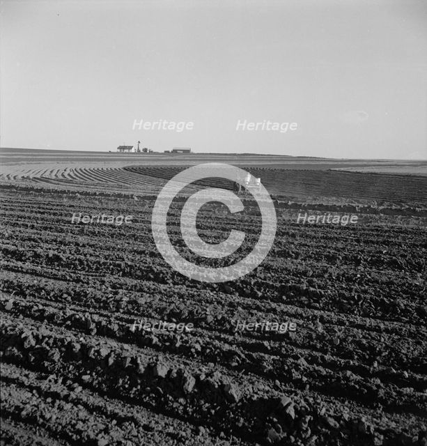 Contour plowing on mechanized farms, Childress County, Texas Panhandle, Texas, 1938. Creator: Dorothea Lange.