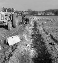 Contractors setting explosives in a trench in Firbeck, near Rotherham, 1962. Creator: Michael Walters