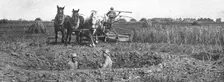 Contrastes sur le front de la Somme; La moisson derriere le champ de bataille 1916 Creator: Unknown
