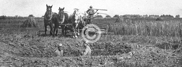 'Contrastes sur le front de la Somme; La moisson derriere le champ de bataille', 1916 Creator: Unknown.