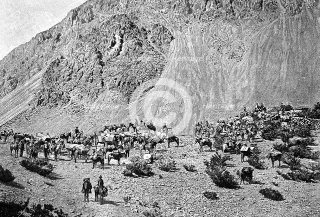 Convoy of muleteers at the foot of the Cordillera, South America, 1895. Artist: Unknown