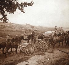 Convoy, Genicourt, northern France, 1916