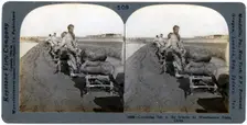 Conveying salt to the interior by wheelbarrow train, China, 1906. Artist: Keystone