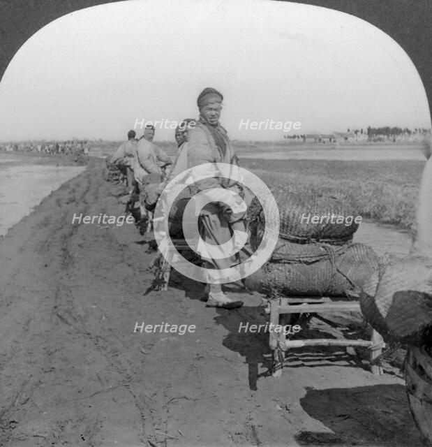 'Conveying salt to the interior by wheelbarrow train', China, 1907. Artist: Keystone View Company