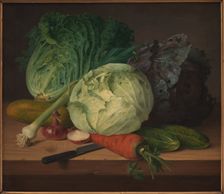 Cook's Herbs, 1823. Creator: Johannes Ludvig Camradt