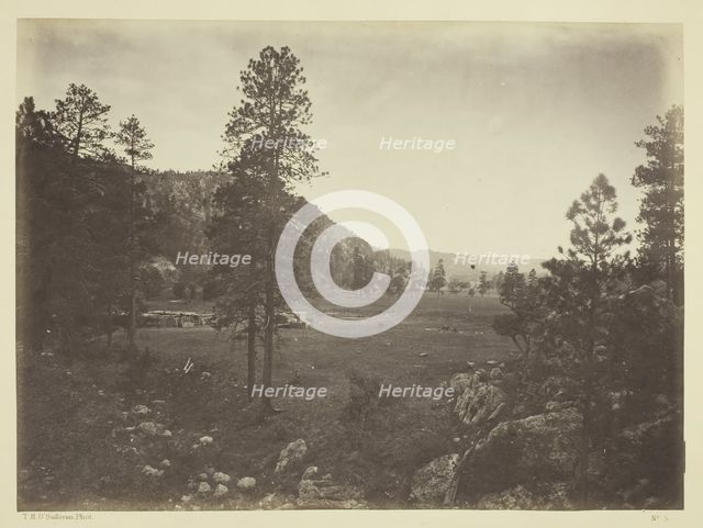 Cooley's Park, Sierra Blanca Range, Arizona, 1873. Creator: Tim O'Sullivan.