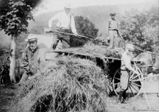 Coolidge, between c1915 and c1920. Creator: Bain News Service