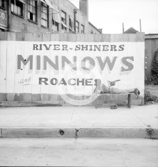 Coon dawgling, Memphis, Tennessee, 1936. Creator: Dorothea Lange.