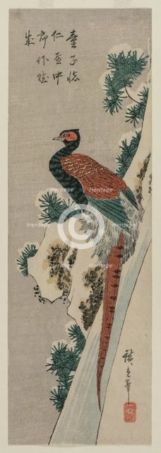 Copper Pheasant by Snowy Waterfall, late 1830s or early 1840s. Creator: Ando Hiroshige (Japanese, 1797-1858).