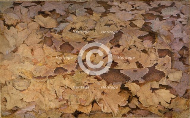 Copperhead Snake on Dead Leaves, study for book Concealing Coloration in the Animal Kingdom. Creator: Abbott Handerson Thayer.