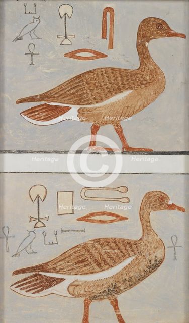 Copy of wall painting from a private tomb of Kaemankh, (III, 1, 132), Giza, geese, 20th century. Artist: Anna (Nina) Macpherson Davies.