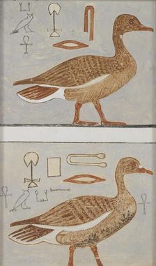 Copy of wall painting from a private tomb of Kaemankh, (III, 1, 132), Giza, geese, 20th century. Artist: Anna (Nina) Macpherson Davies