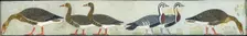 Copy of wall painting from Mastaba of Itet, Medum (IV, 93-94) geese, 20th century. Artist: Anna (Nina) Macpherson Davies