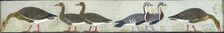 Copy of wall painting from Mastaba of Itet, Medum (IV, 93-94) geese, 20th century. Artist: Anna (Nina) Macpherson Davies