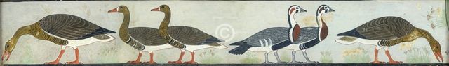 Copy of wall painting from Mastaba of Itet, Medum (IV, 93-94) geese, 20th century. Artist: Anna (Nina) Macpherson Davies.