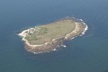 Coquet Island, near Amble, Northumberland, 2014. Creator: Historic England Staff Photographer