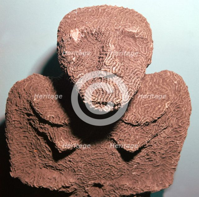 Coral figure from the Torres Straits Islands. Artist: Unknown