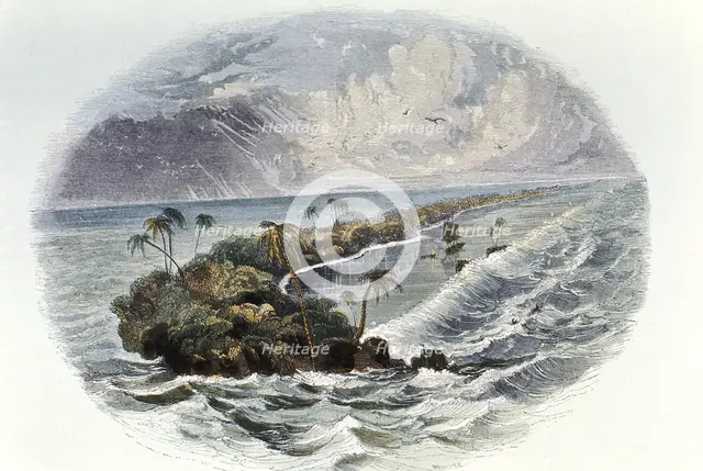 Coral Reef and island. Artist: Unknown