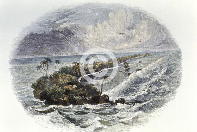 Coral Reef and island. Artist: Unknown