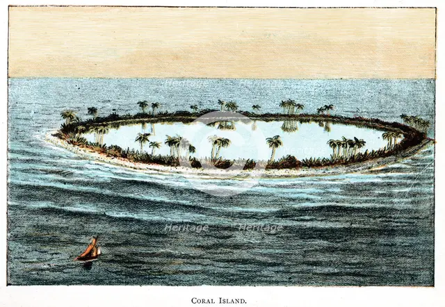 Coral reef surrounding a lagoon. Artist: Unknown