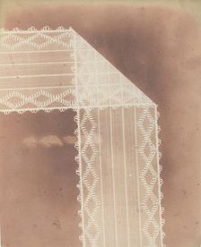Cordella o Nastro a velo, 1839. Creator: William Henry Fox Talbot