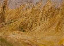 Corn Field (Study), 1901. Creator: Wlodzimierz Tetmajer