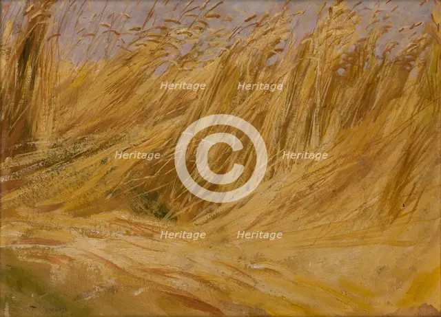 Corn Field (Study), 1901. Creator: Wlodzimierz Tetmajer.