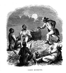 Corn Husking'; Negro labourers husking maize, southern USA, c1850