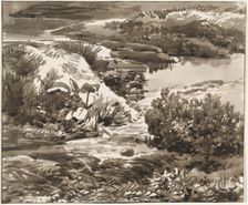 Corner of a Meadow with a Stream, 1800/1820. Creator: Franz Kobell