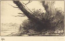 Corner of a Path (Au coin d'un chemin). Creator: Alphonse Legros