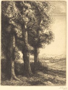 Corner of a Wood (Coin d'un bois). Creator: Alphonse Legros