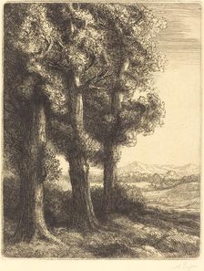 Corner of a Wood (Coin d'un bois). Creator: Alphonse Legros