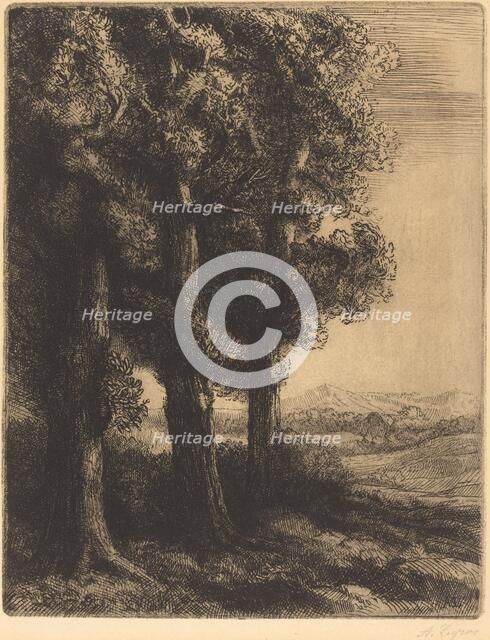 Corner of a Wood (Coin d'un bois). Creator: Alphonse Legros.
