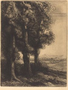 Corner of a Wood (Coin d'un bois). Creator: Alphonse Legros