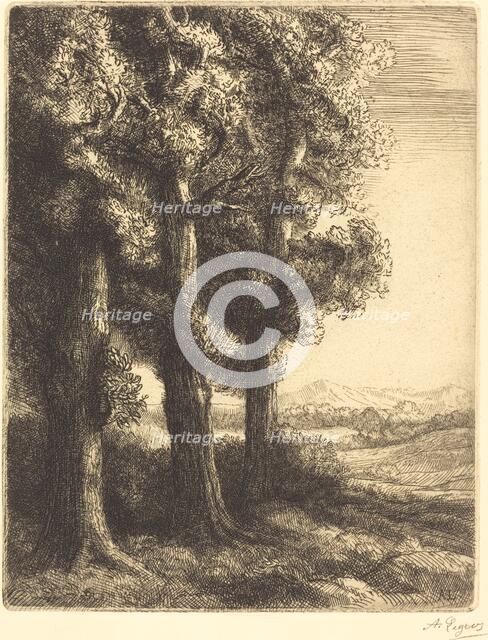 Corner of a Wood (Coin d'un bois). Creator: Alphonse Legros.